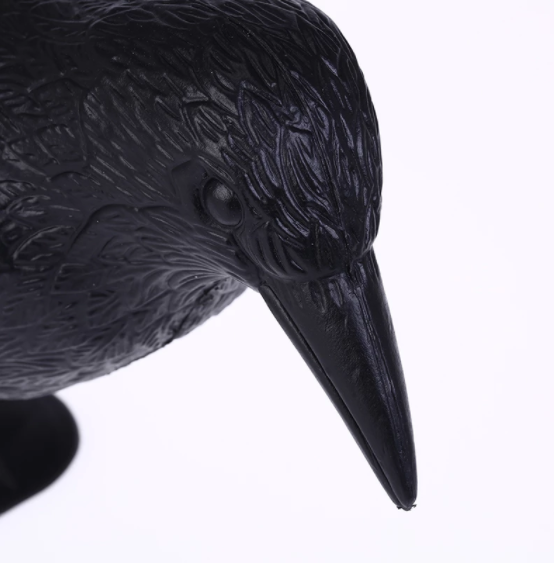 1629444025.png 小Q截图-20210820150948.png