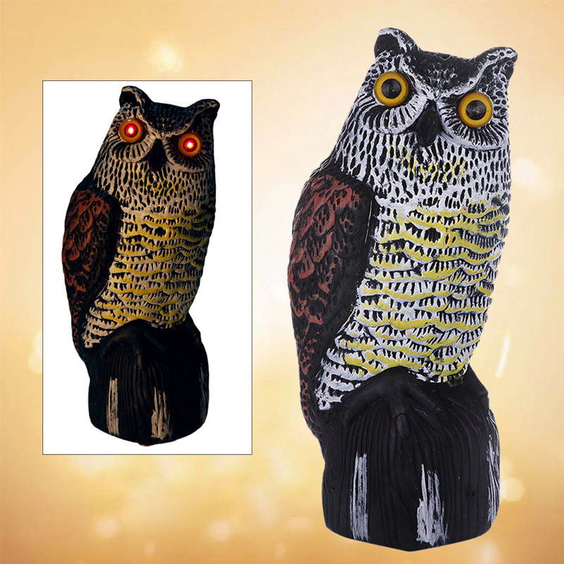 1631022285.jpg owl2-3.jpg