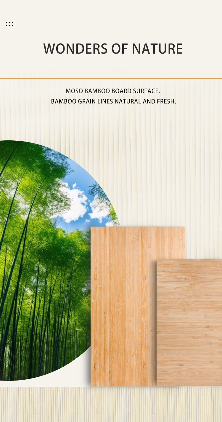 1703649475.jpg 竹板-改_02.jpg