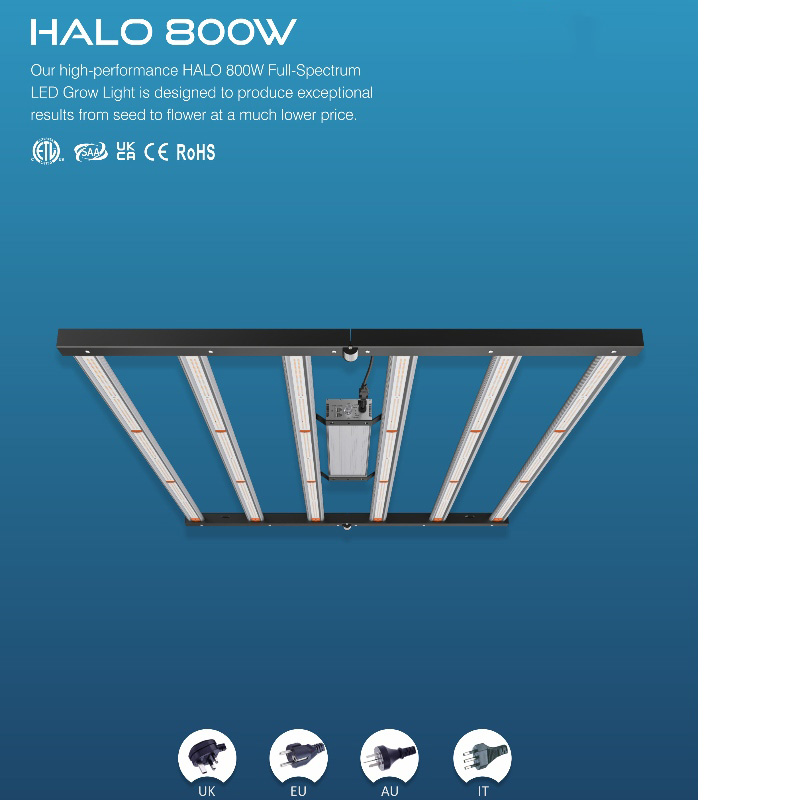 1703230919.jpg 6-800-1.jpg